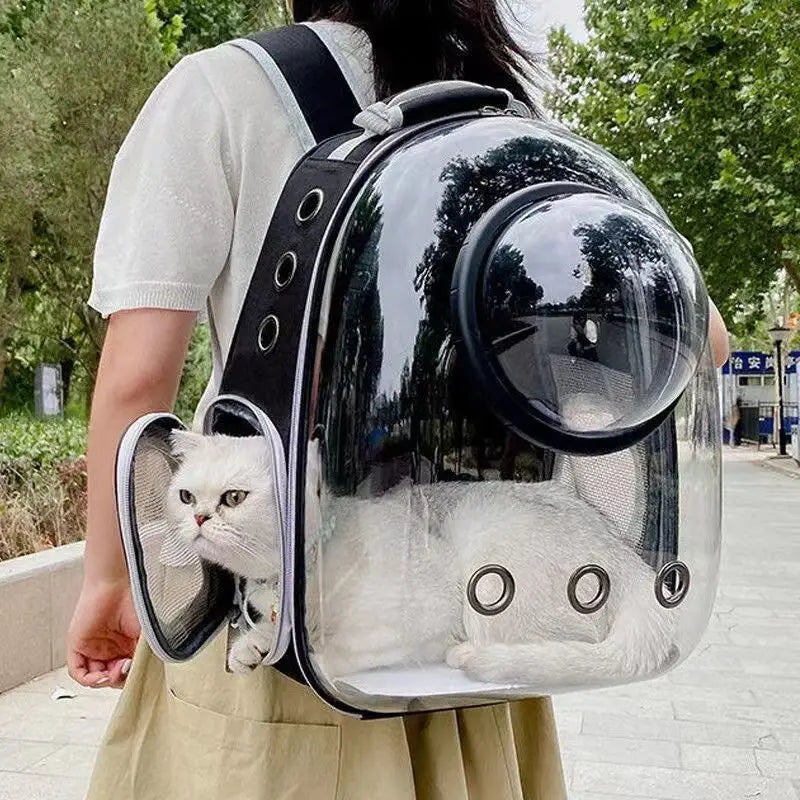 Breathable Transparent Backpack For Pet