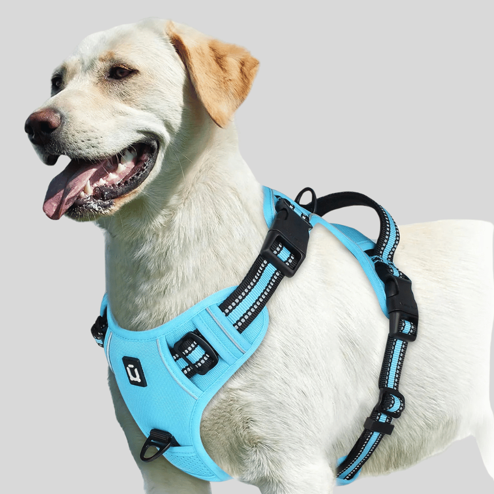 Adjustable Soft Padded Pet Vest