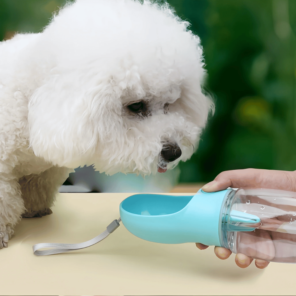 Portable Pet Water Bottle with Storage Food